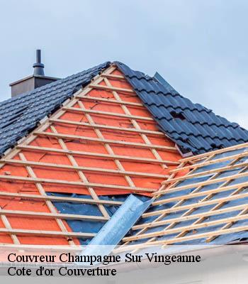Couvreur  champagne-sur-vingeanne-21310 Cote d'or Couverture