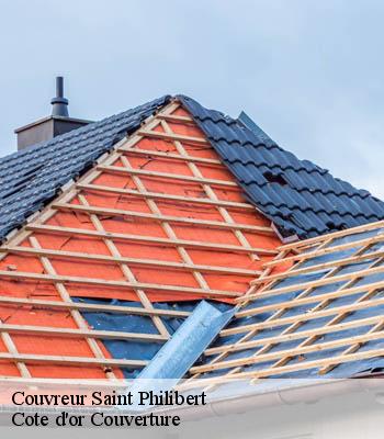 Couvreur  saint-philibert-21220 Cote d'or Couverture